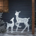 Festive Doe and Fawn Acrylic Illuminated Reindeer Set