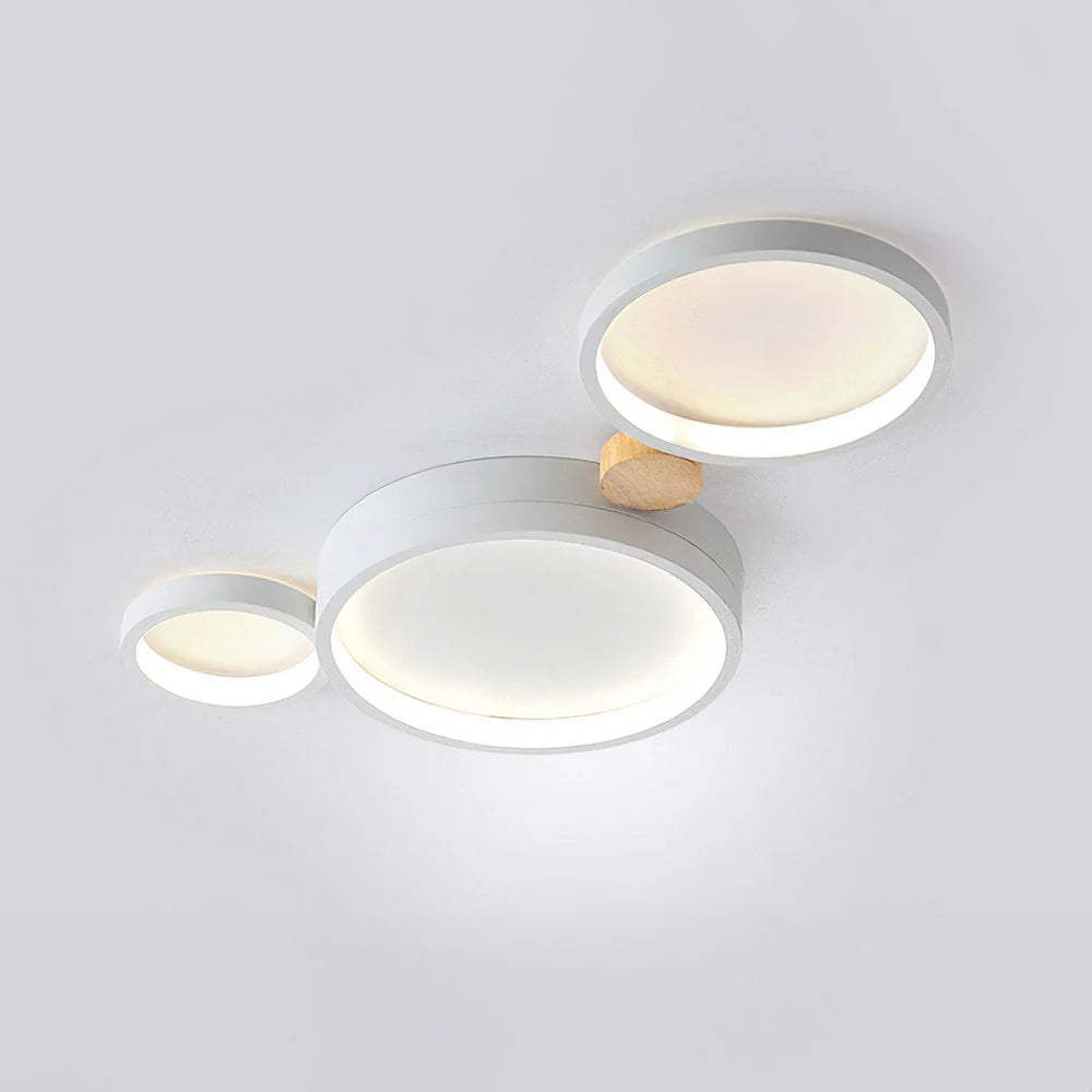 Artistic Circular Iron LED Ceiling Light