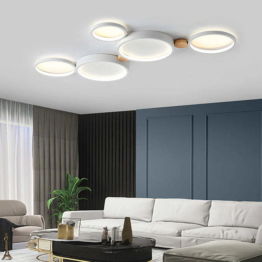 Artistic Circular Iron LED Ceiling Light