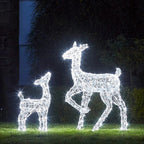 Festive Doe and Fawn Acrylic Illuminated Reindeer Set
