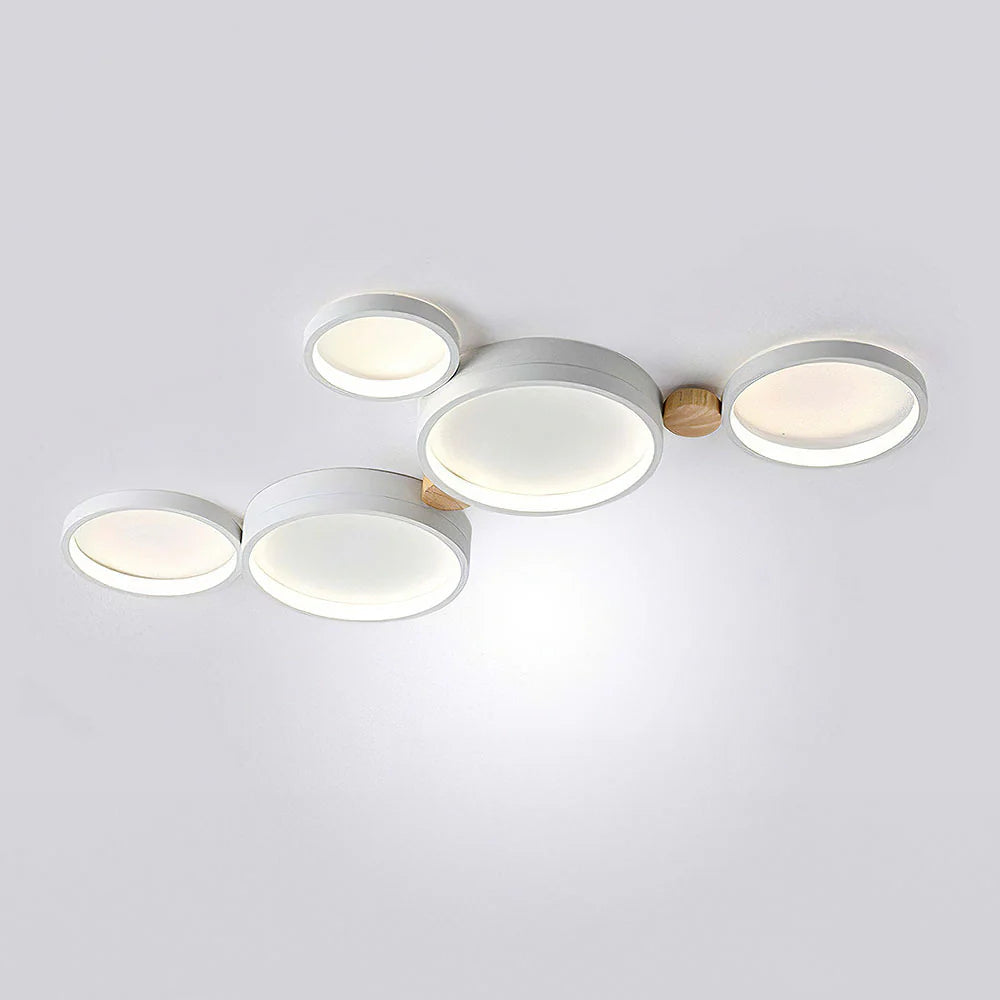 Artistic Circular Iron LED Ceiling Light