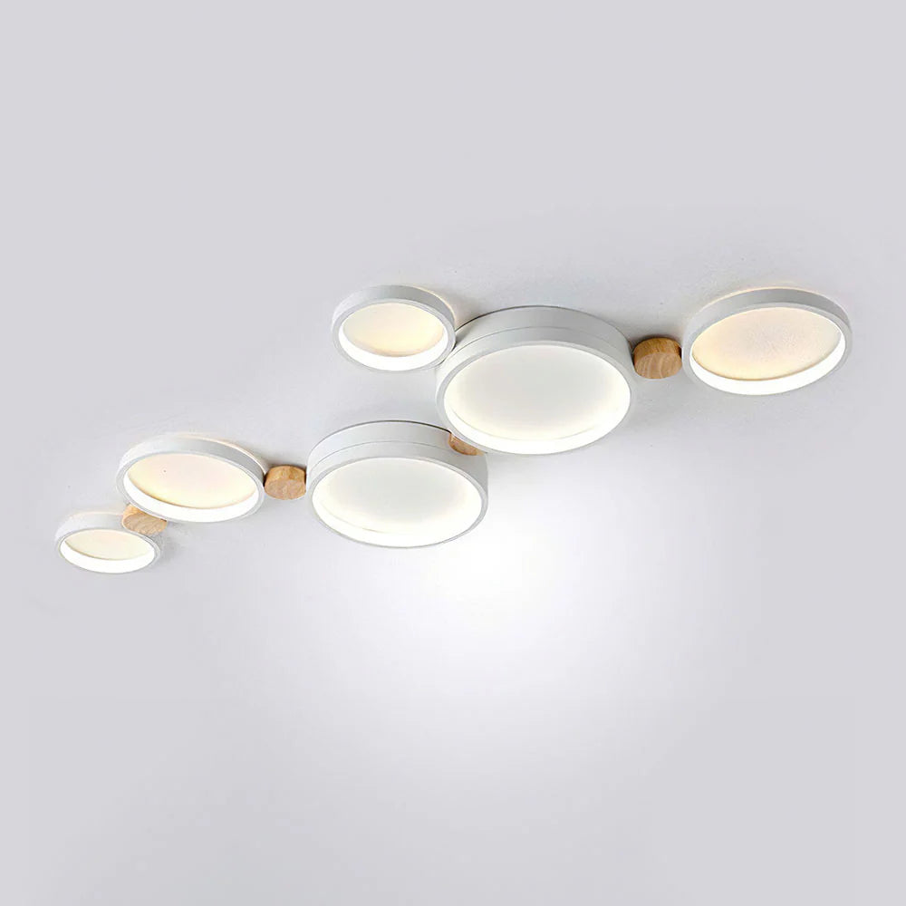 Artistic Circular Iron LED Ceiling Light