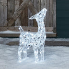 Festive Doe and Fawn Acrylic Illuminated Reindeer Set