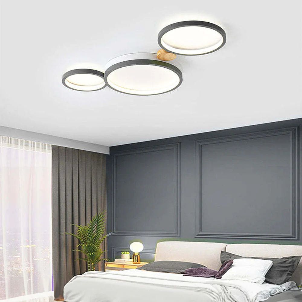 Artistic Circular Iron LED Ceiling Light