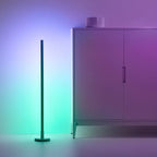 Trendy Sleek Minimalist Plastic Floor Lamp