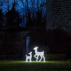 Festive Doe and Fawn Acrylic Illuminated Reindeer Set