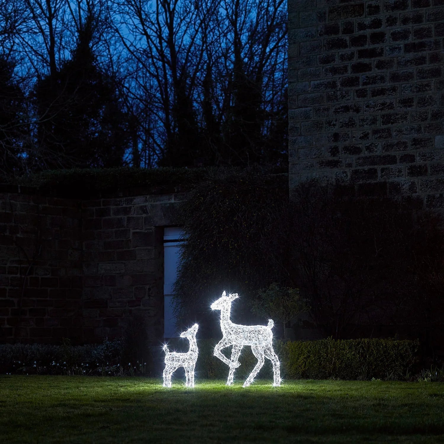 Festive Doe and Fawn Acrylic Illuminated Reindeer Set