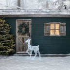 Festive Doe and Fawn Acrylic Illuminated Reindeer Set