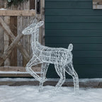 Festive Doe and Fawn Acrylic Illuminated Reindeer Set
