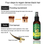 Ginger Hair Spray  30ml Boxes Strengthening Hair, Massaging Scalp, Hair Quality Repair, Hair Care Liquid