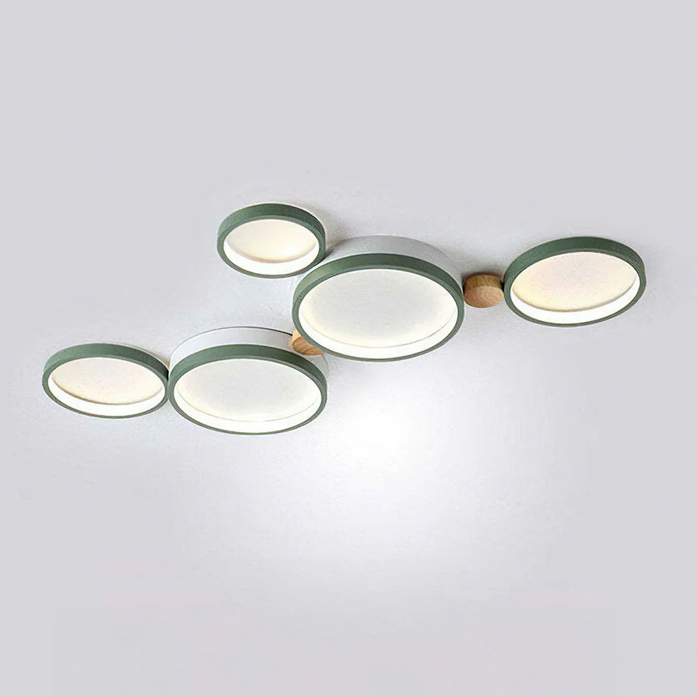Artistic Circular Iron LED Ceiling Light
