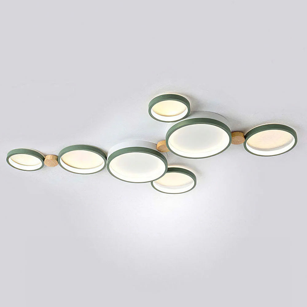 Artistic Circular Iron LED Ceiling Light