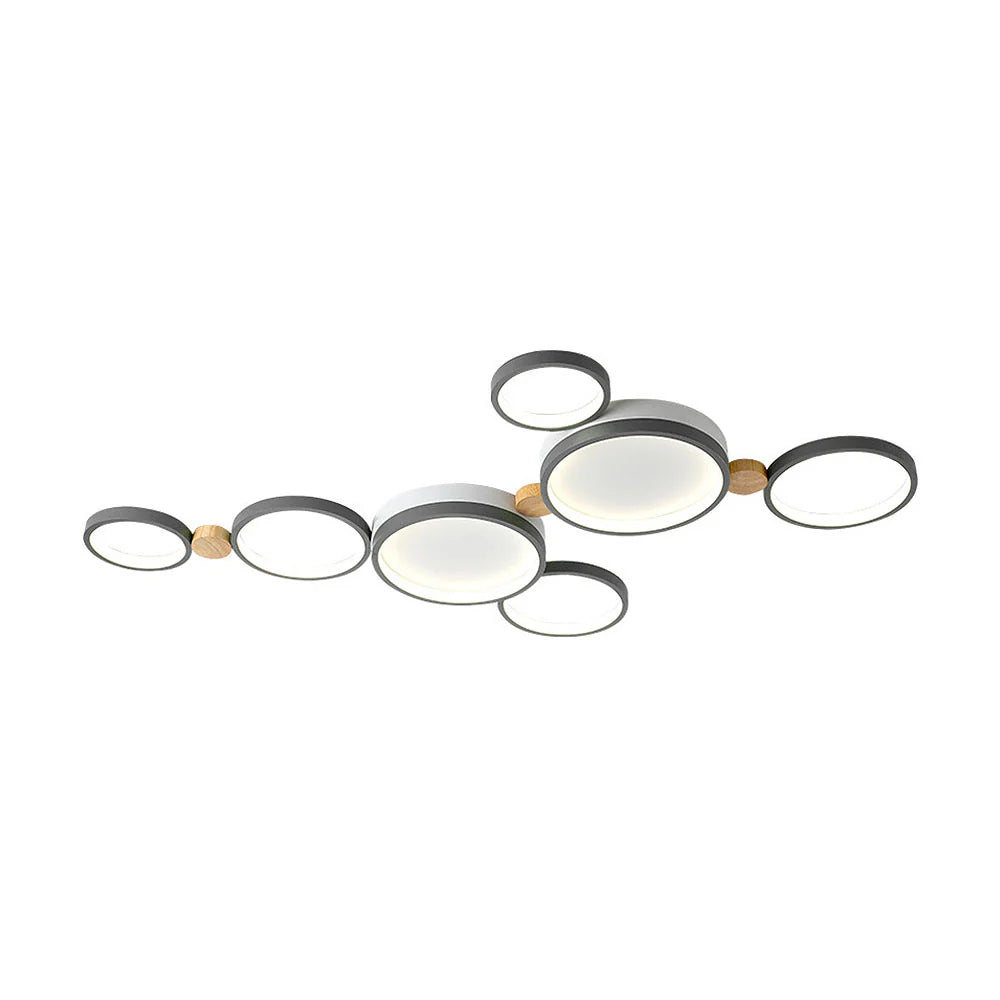 Artistic Circular Iron LED Ceiling Light