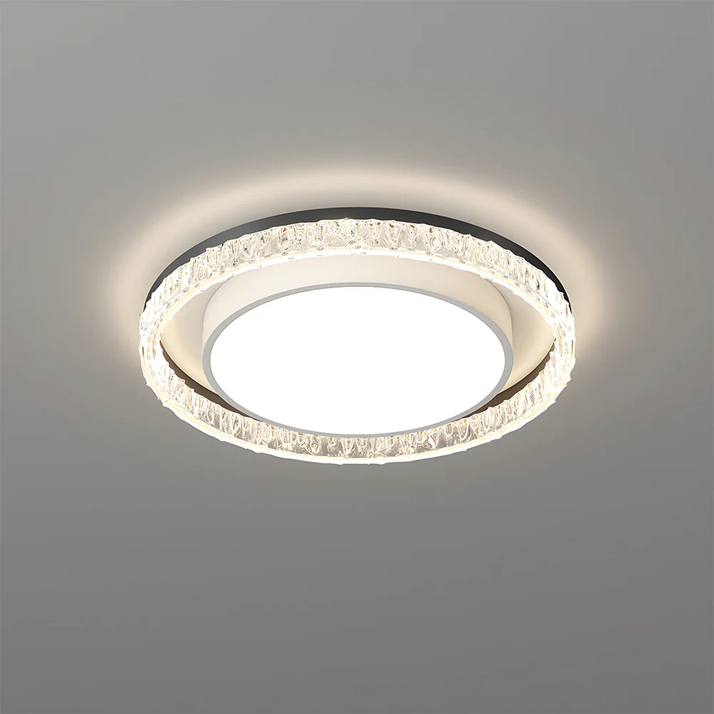 Contemporary Black Round LED Ceiling Light