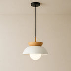 Modern Semi-Circle Wood Pendant Light