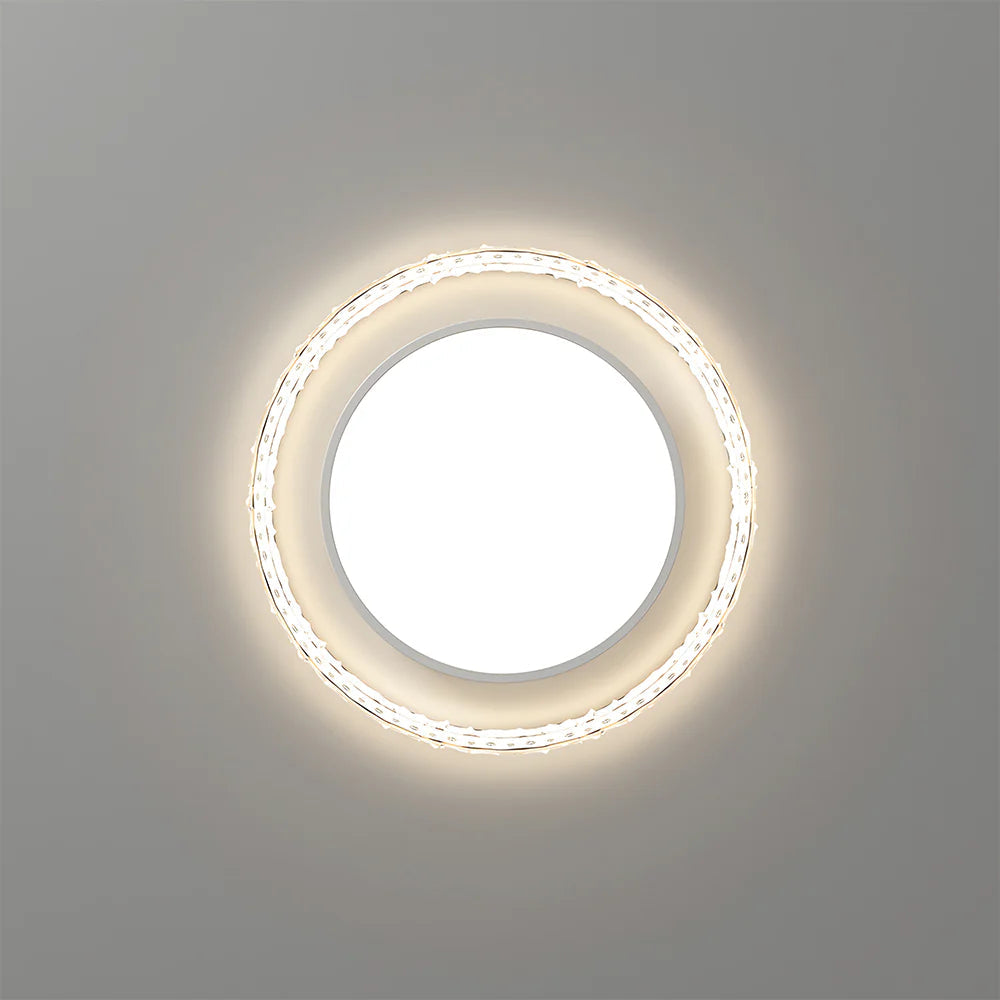 Contemporary Black Round LED Ceiling Light