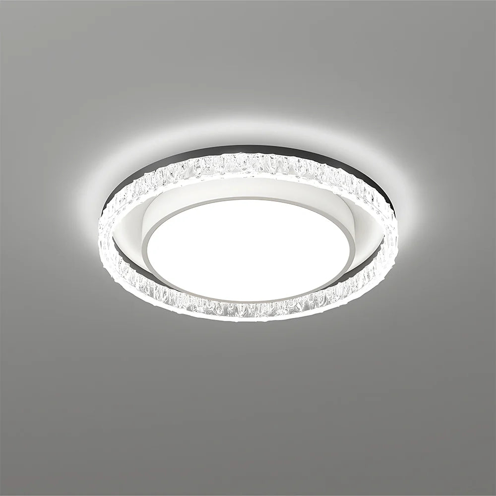 Contemporary Black Round LED Ceiling Light